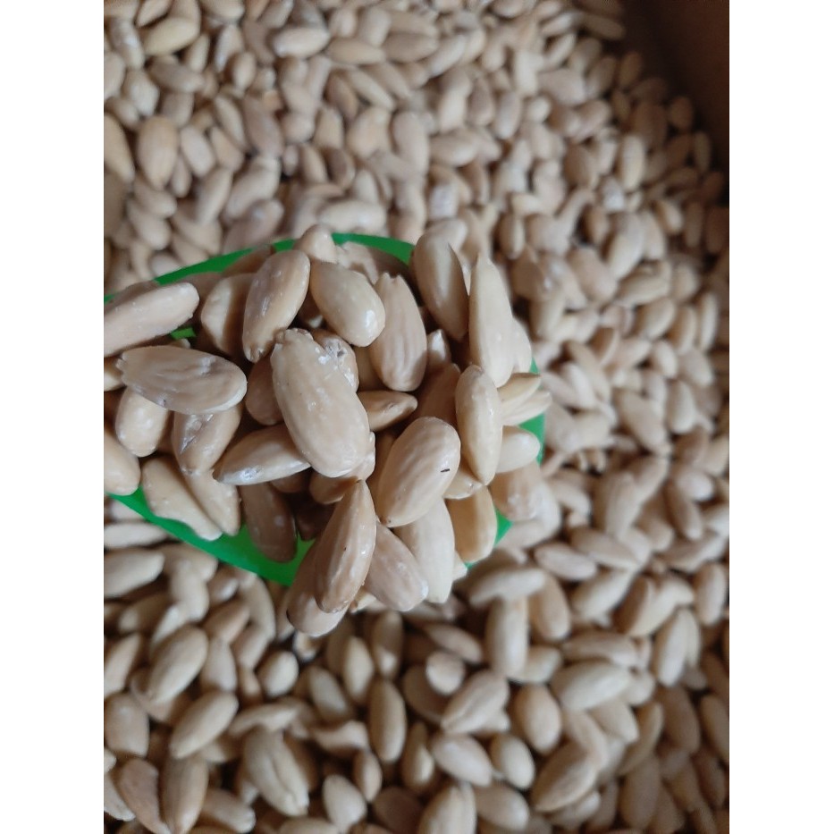 

✨TERLARIS -1000gr Roasted Almond Premium - Kacang Almond Panggang Kupas - Oven - NoKulitAriORI
