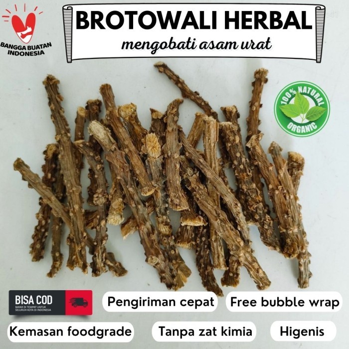 

Brotowali kering kwalitas super premium - 50g