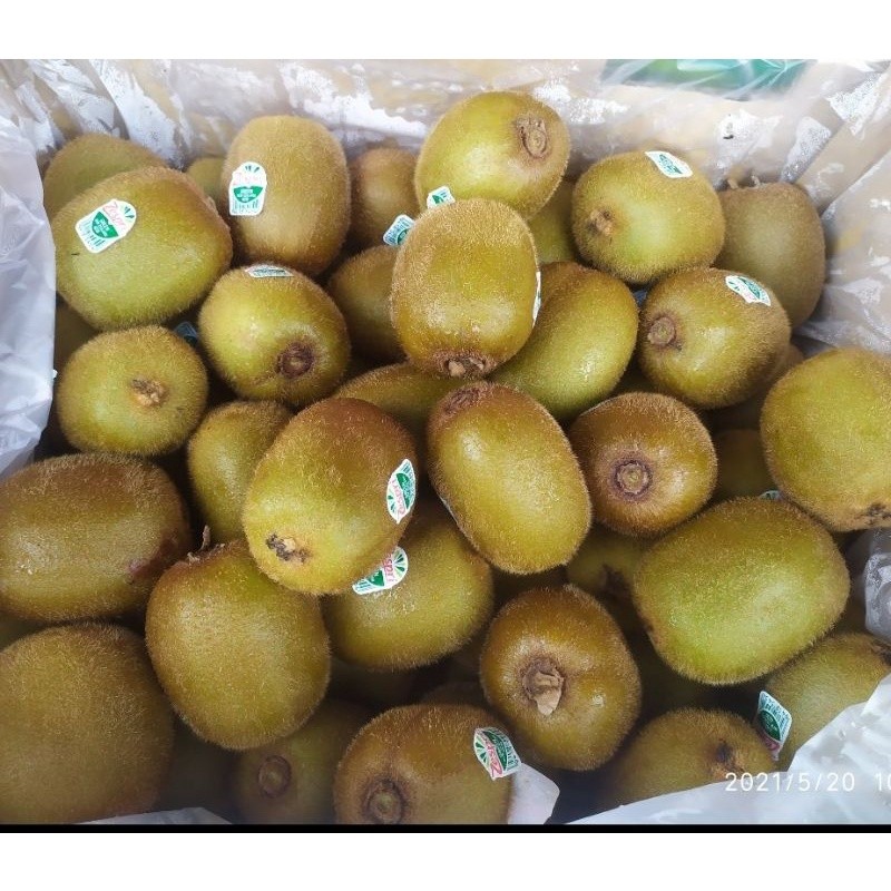 

BUAH KIWI HIJAU ZESPRI KIWI GREEN NEW ZEALAND GROSIR 500GR ud buah tiga saudara