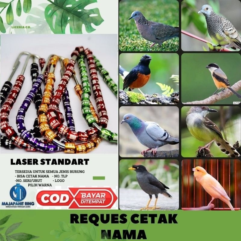 RING BURUNG  DESAIN KHUSUS LOGO PRIBADI DAN KOMINITAS MERPATI PUTER PELUNG MURAI LOVEBIRD PERKUTUT K