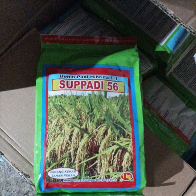 LAGI DISKON BENIH SUPADI 56 supadi 56 exp 2025 bulan 5