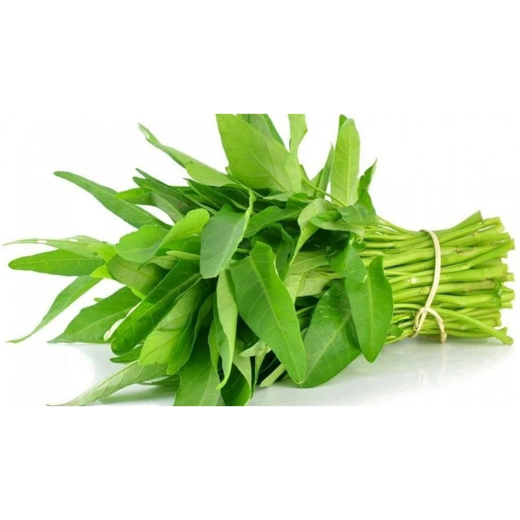 

kangkung sayur 1ikat