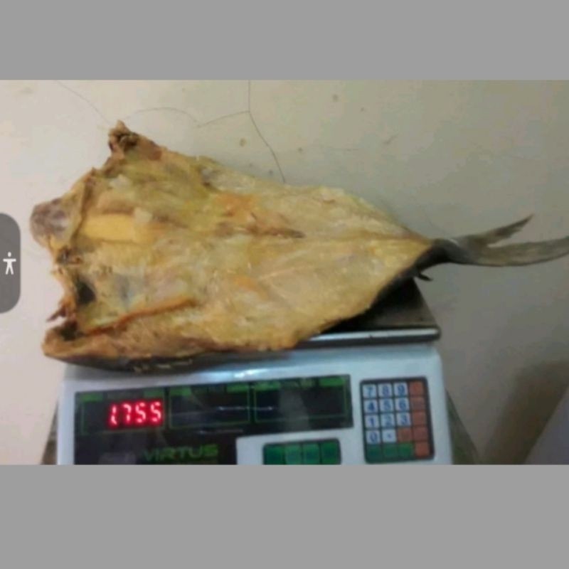 

IKAN JAMBAL ROTI SUPER MENTEGA NO.1 SEMI KERING OLEH OLEH KHAS PANGANDARAN