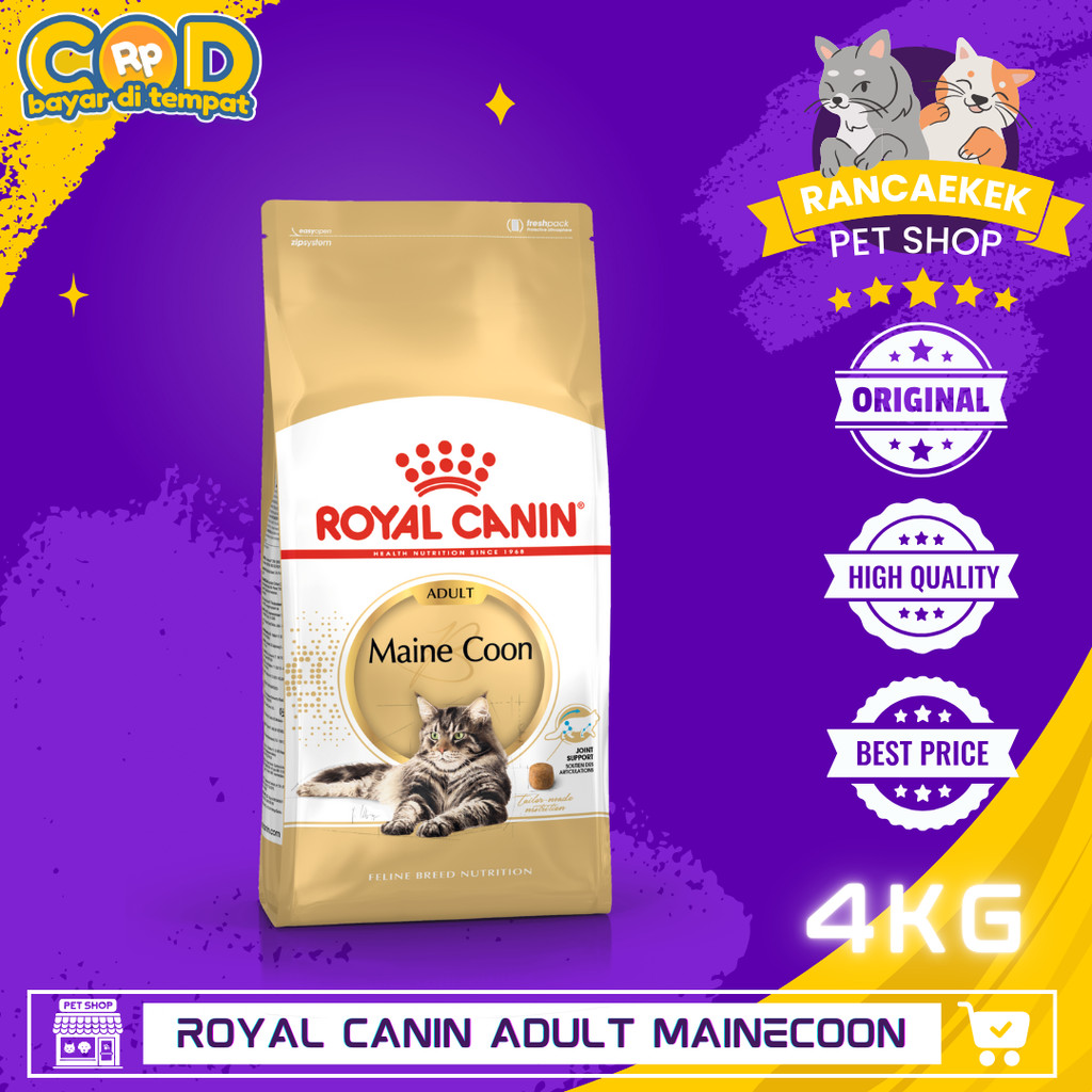 ROYAL CANIN MAINE COON ADULT 4KG