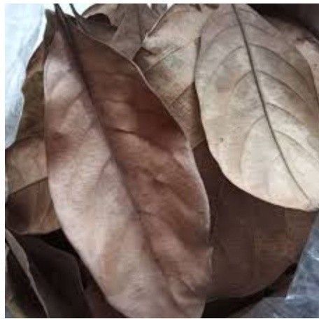 

Promo DAUN NANGKA KERING 100LEMBAR TERBAIK OBAT HERBAL OBAT TRADISIONAL OBAT ALAMI COD (SRH)