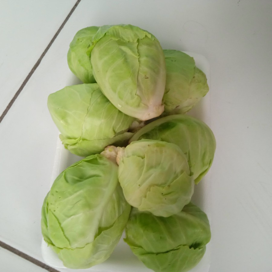 

Comeo 250Gr/pack