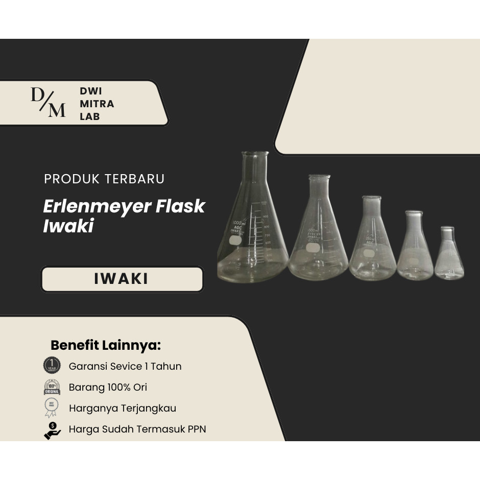 Erlenmeyer 250 ml Iwaki