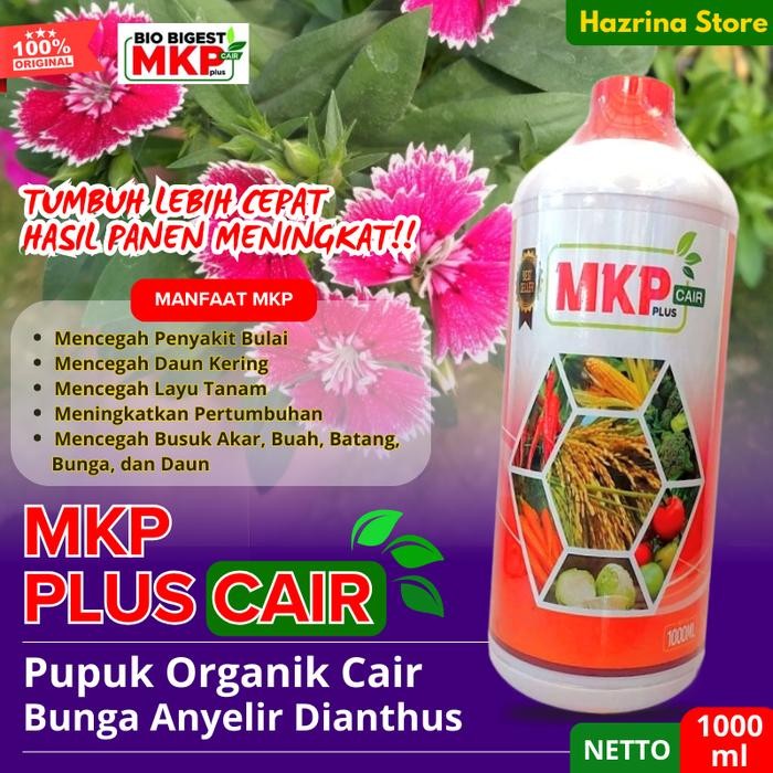 Pupuk Organik Cair MKP Bunga Anyelir Dianthus – Nutrisi Akar Batang Daun & Penyubur Bunga