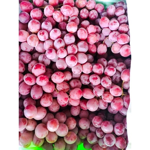 

BUAH ANGGUR AUSTRALIA MANIS / RED GLOBE 450-550 gr