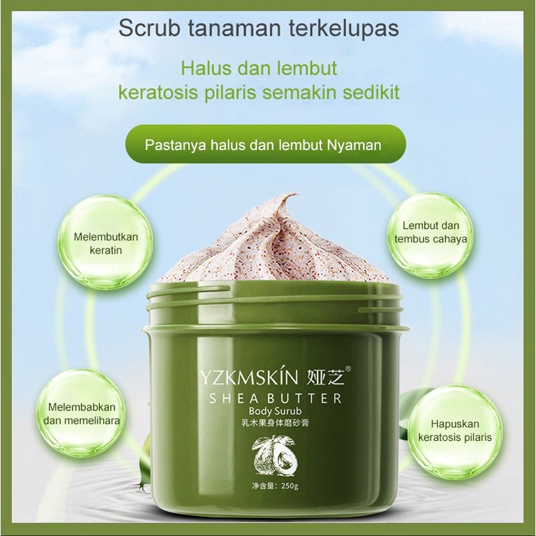 Body Scrub Pemutih Badan Lulur Shea Butter YZKMSKIN