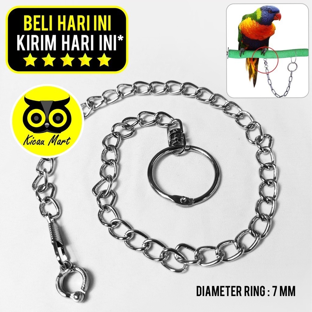 KICAU MART RANTAI BURUNG NURI PELANGI RING BORGOL IMPORT 7 MM RANTAI FF UMBARAN FREE FLYING RANTAI G