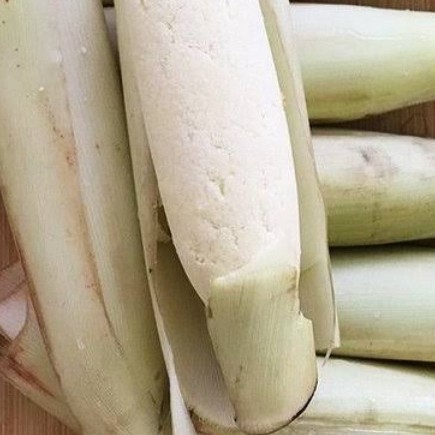 

terubuk sayur fres di petik saat masuk order(per 500gram)