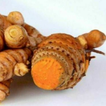 

Temulawak segar 500 gram temu lawak umbi basah fresh