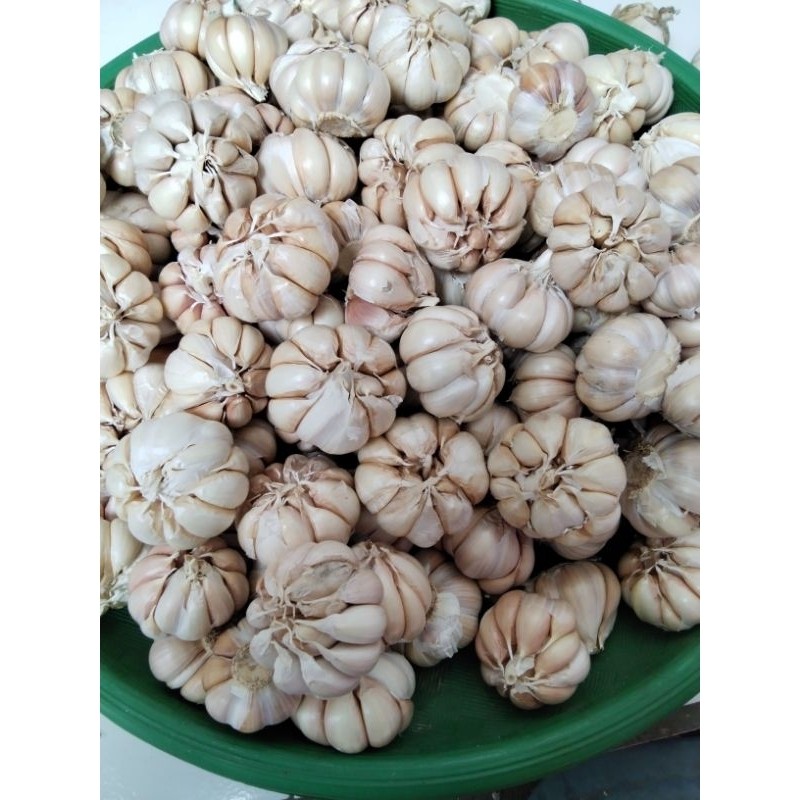 

SERBA MURAH BAWANG PUTIH SEGAR 500 Gr