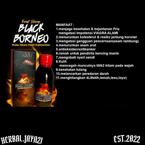 

PROMO JUAL MURAH SAYYY...!!! Madu Black Borneo 1 Botol 120ml Orijinal