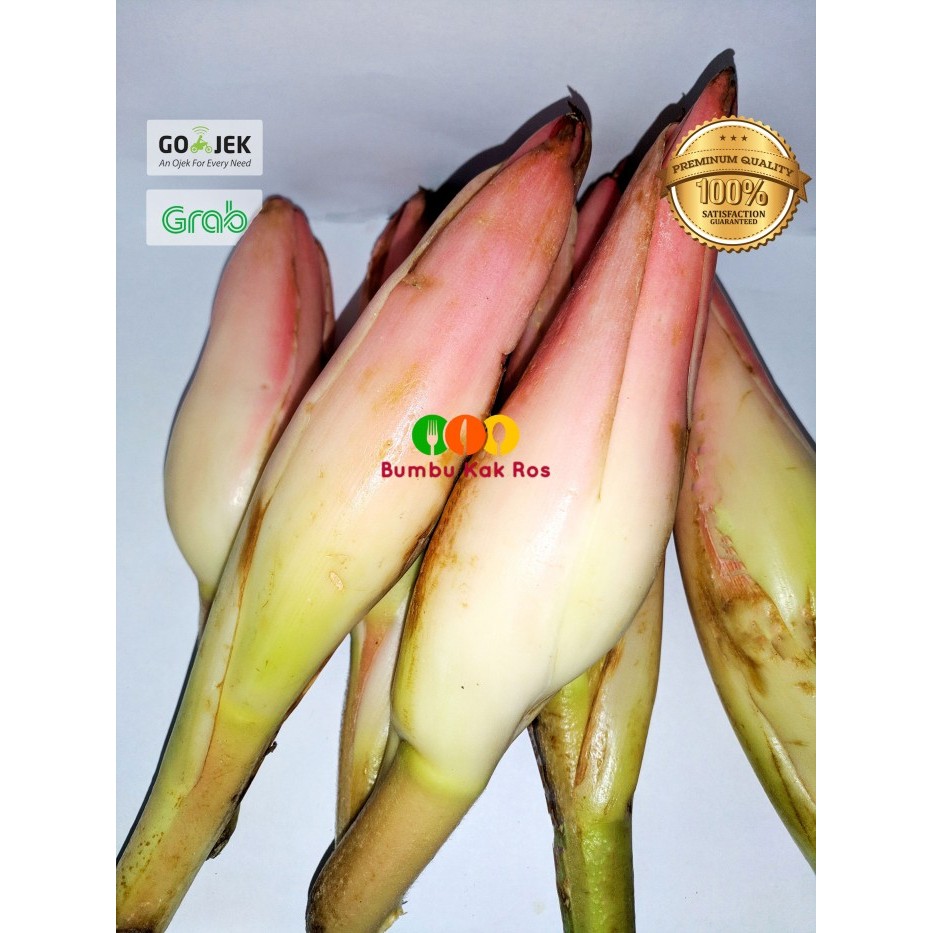 

✨TERLARIS -Kecombrang Kencong Kincung Medan 500gr