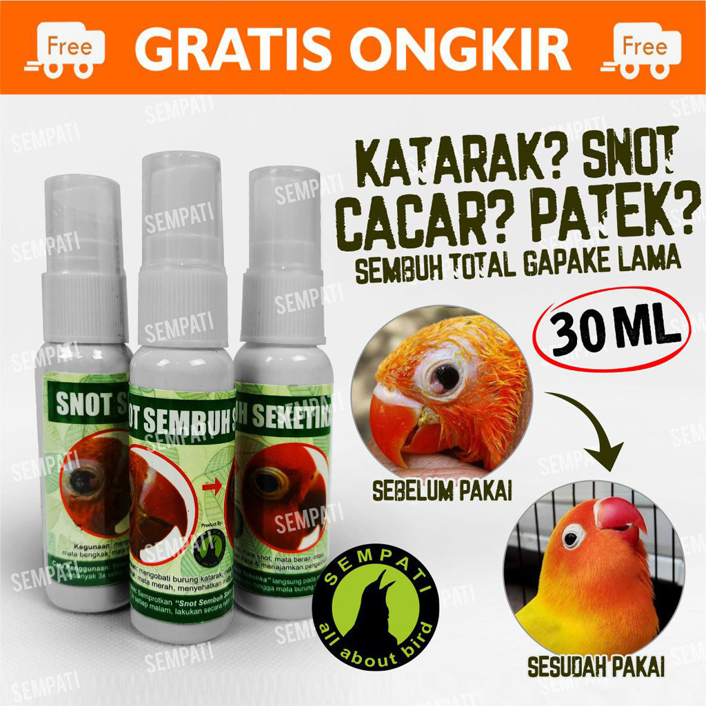 SEMPATI SNOT SEMBUH SEKETIKA MEREK SEMPATI OBAT SAKIT MATA KATARAK BENGKAK BERAIR BURUNG MURAI