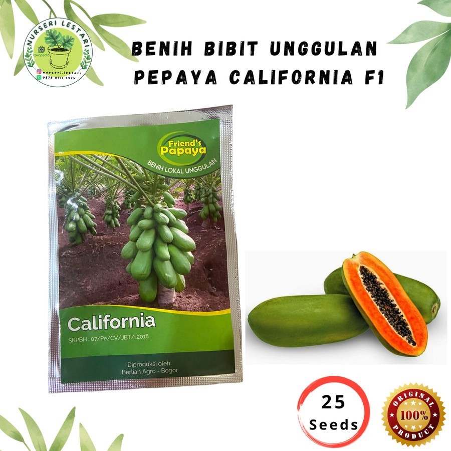 Benih Biji Bibit Pepaya California F1 Unggulan - Friend's Papaya