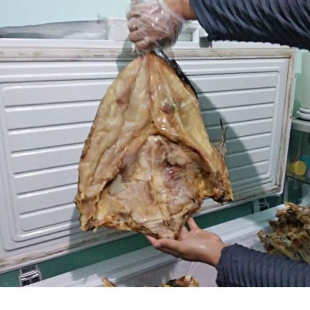 

ikan asin jambal roti super NGEPRUL 1kg PIRT DAN HALLAL toko bandar ikan asin jambal roti