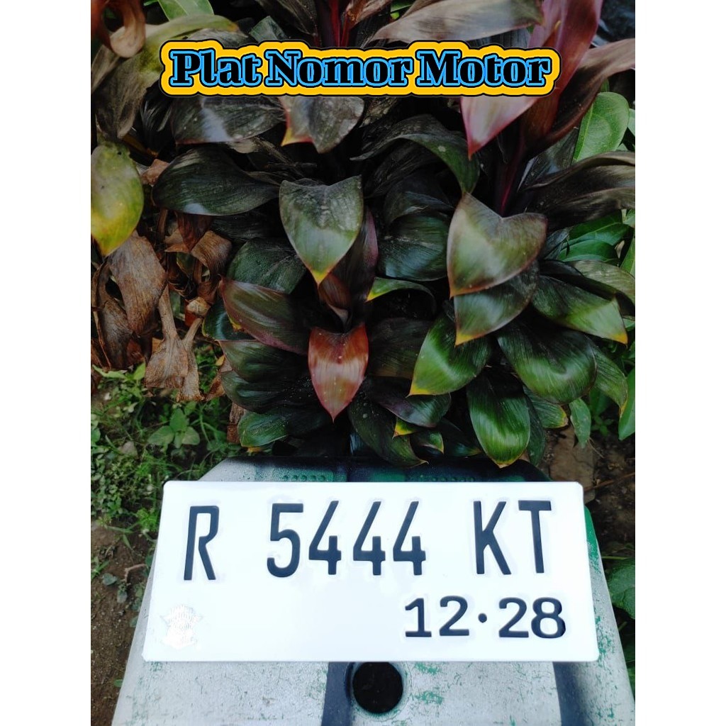 Buat Plat Nomor Motor Font Terbaru