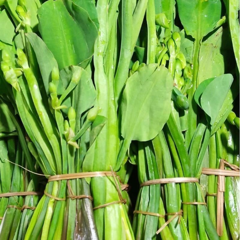 

Sayur genjer 1 ikat berat 200 gr