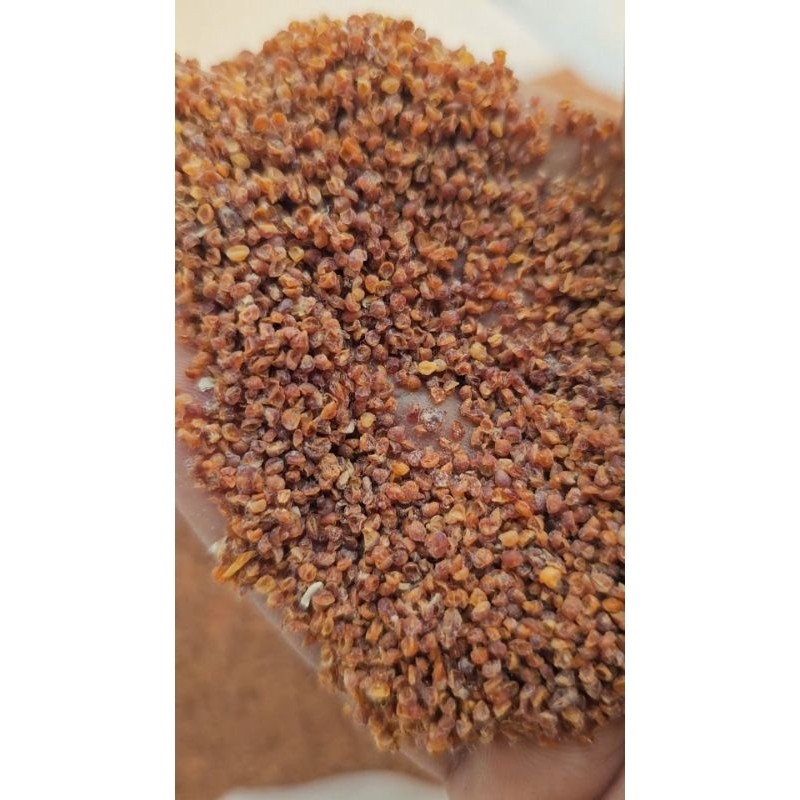 Telur Pua Kering/ Telur Jentit ( Pengganti Kroto dan Telur Jangkrik ) campuran umpan ikan Mas, Nila 