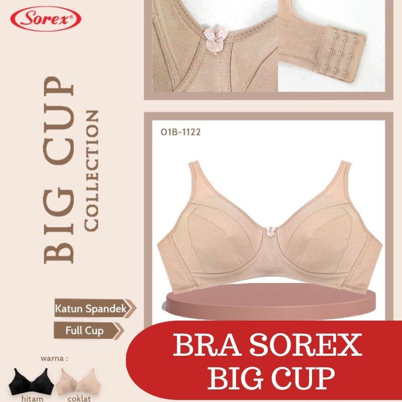 RC Sorex Bh/Bra Sport Art 02008/02004 Big Cup