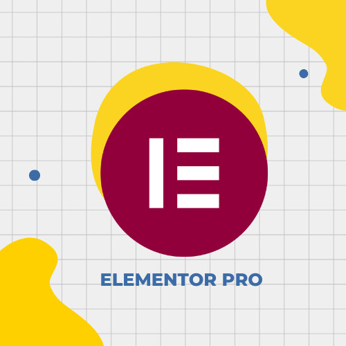 ELEMENTOR PRO