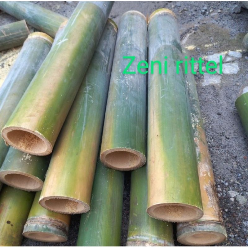 

potongan bambu hijau segar 50cm untuk kerajinan / bilah bambu tanpa ruas