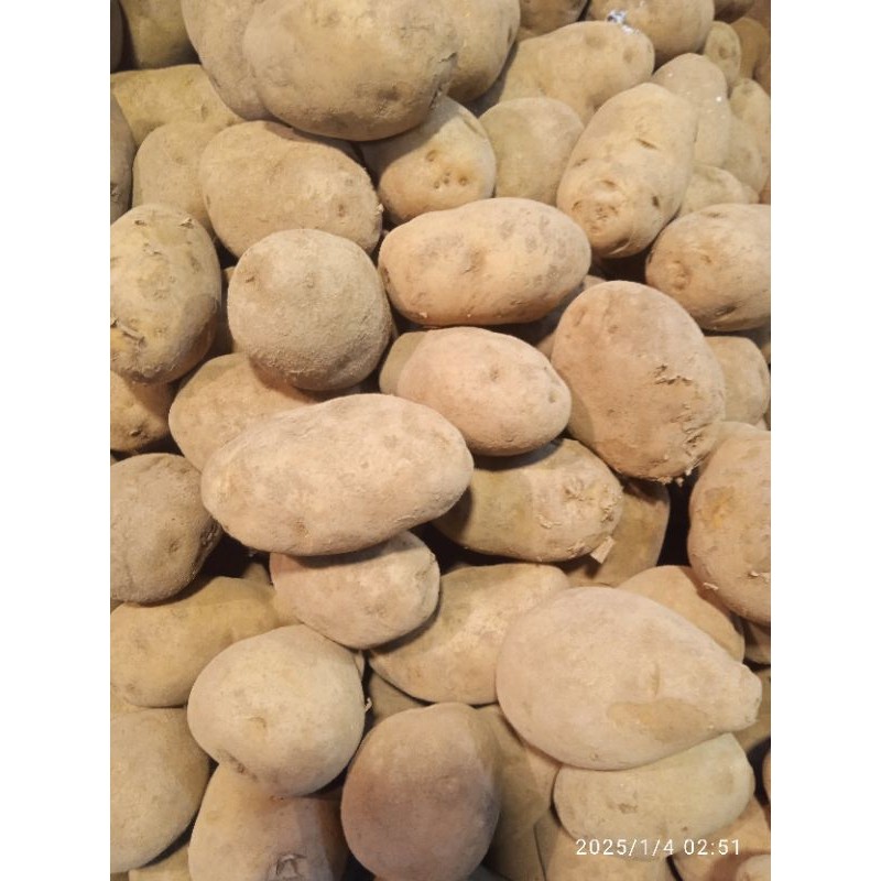 

KENTANG KUNING DIENG SEDANG 1Kg