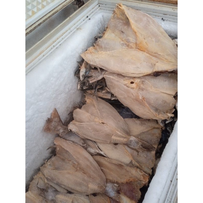 

Jambal Roti Pangandaran