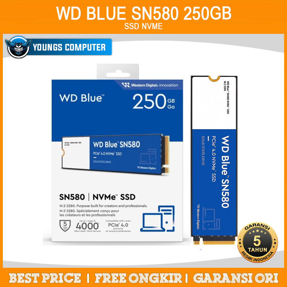 SSD WD BLUE SN580 250GB NVME Gen4 4000/3600mbps