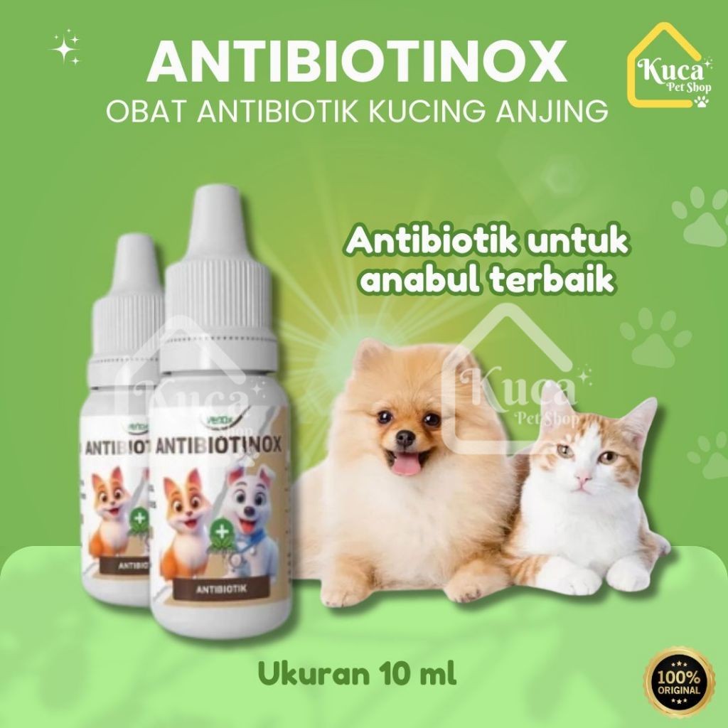 Antibiotinox Obat Antibiotik Venox Mencegah Virus Jamur Bakteri Kucing Anjing Virus Infeksi Bakteri