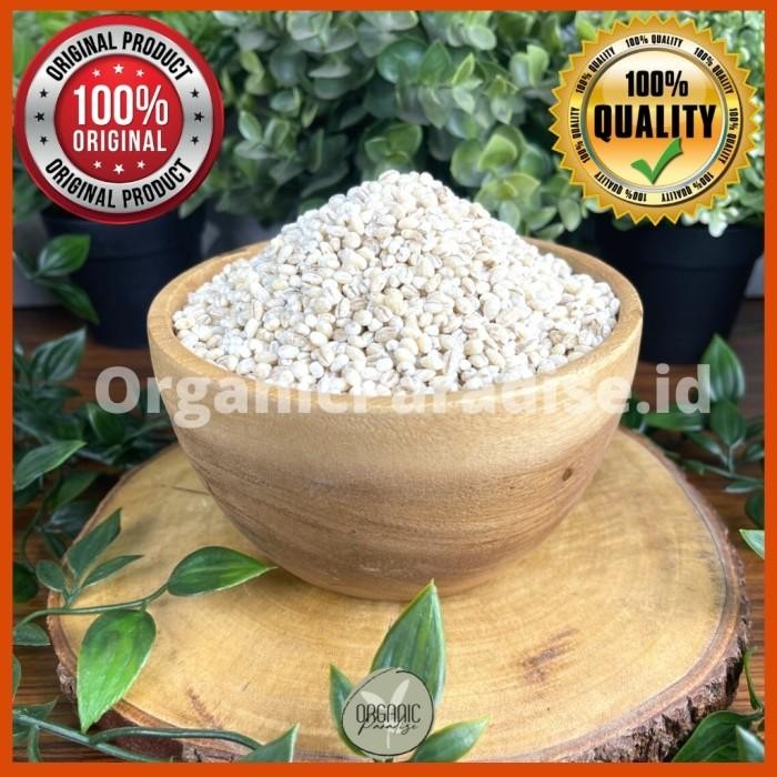 

SALE Natural Pearl Barley 1 KG / Biji Jali Jali Import 1 KG Organic Paradise - SpesifikasiTERLARIS