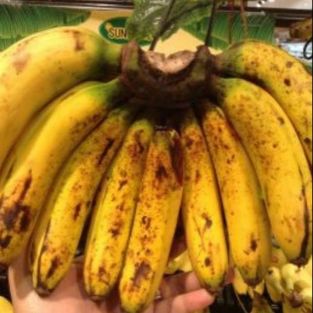 

Buah pisang barangan medan UDBUAH 3 SAUDARA