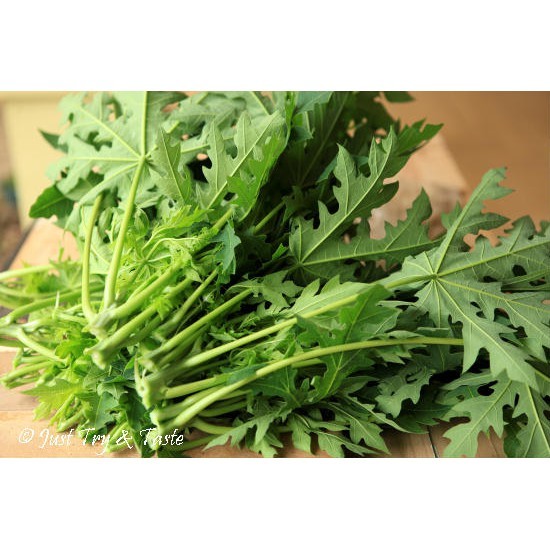 

Daun pepaya segar 1 ikat