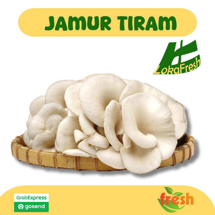

Jamur Tiram Segar/ Mushroom Oyster Fresh 500 gram