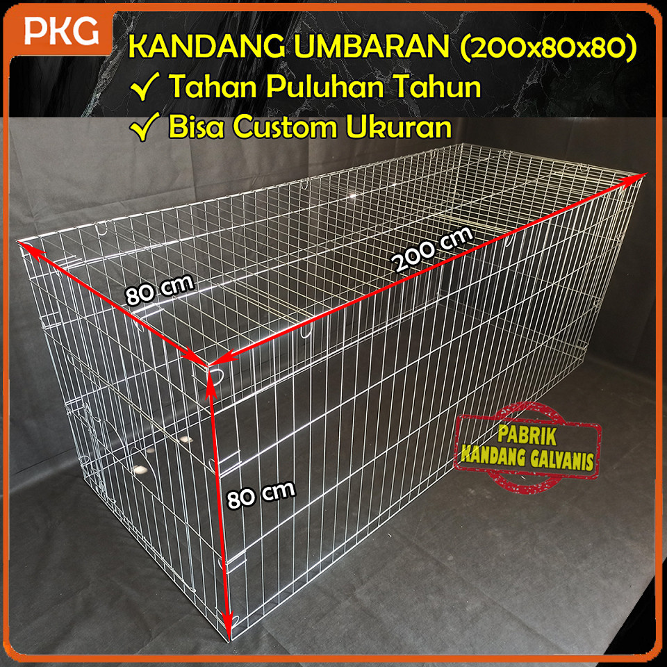 BG36JH Kandang Umbaran Galvanis Besar 200Cm Untuk Ayam Jago Bangkok, Kurungan Umbaran Jumbo 2 Meter 