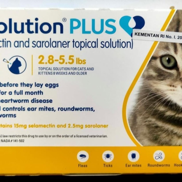 obat tetes kutu Revolution Obat kutu Revolution plus cat kitten 1 tube