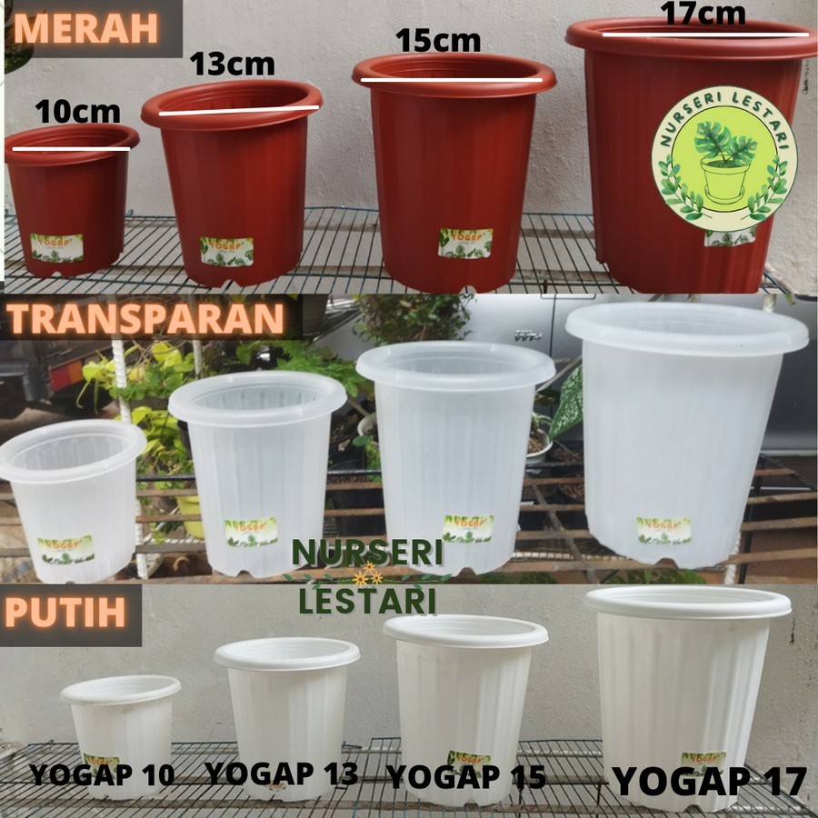 Pot Tinggi Plastik Tebal Yogap YPT Ukuran 10 13 15 17 19 25 Warna MERAH/PUTIH/TRANSPARAN