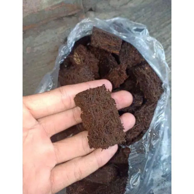 media tanam anggrek cacah pakis chip / cacah pakis kotak per 200gram