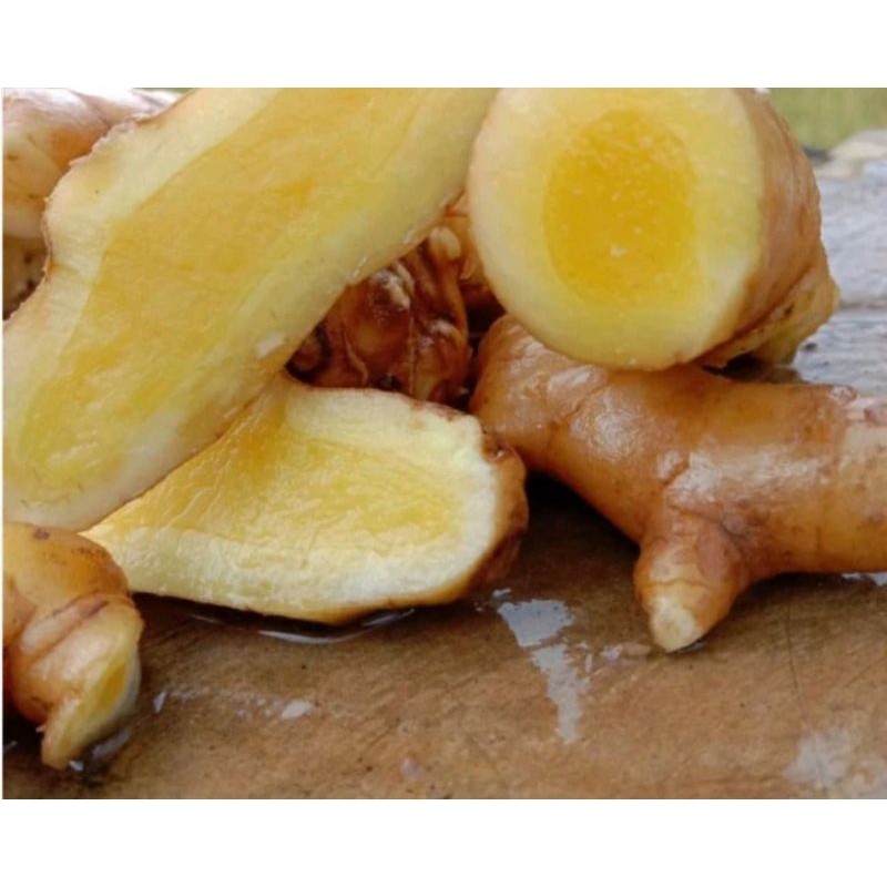

kunyit mangga/temu mangga 1kg
