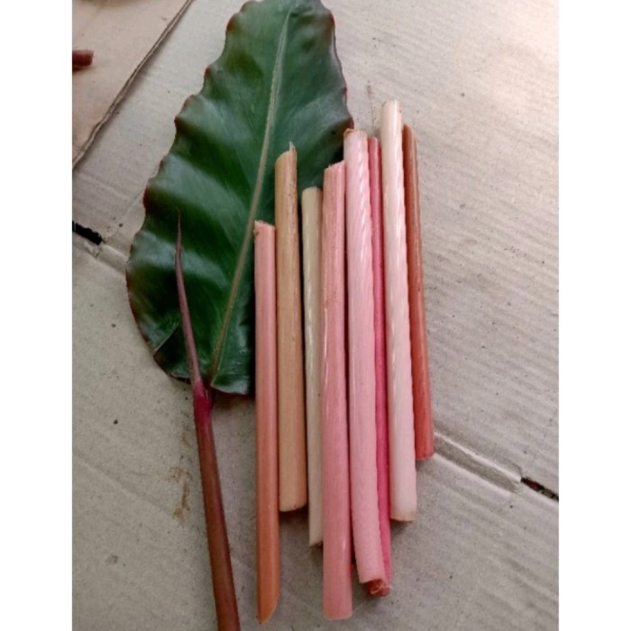 

Sayuran segar Boros kecombrang segar /Hati Batang Kecombrang 100g