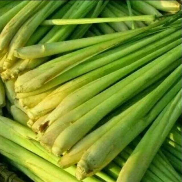 

PRODUK PILIHAN Bumbu sereh fresh 500 grm Murah Berkualitas