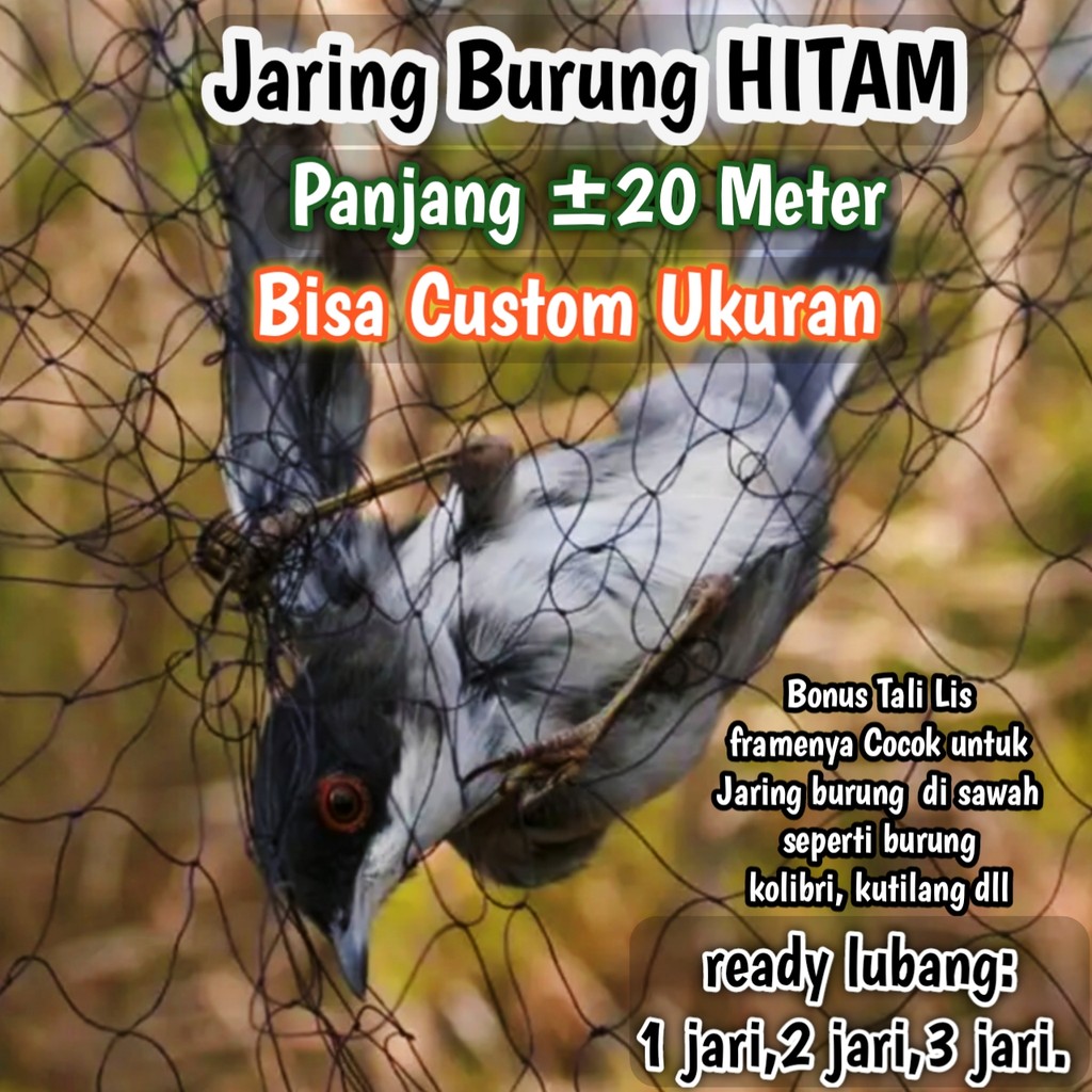 jaring burung Sawah Lubang Kecil Panjang 25 meter warna hitam