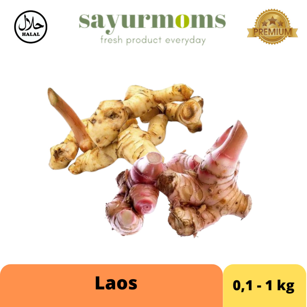 

Laos / Lengkuas