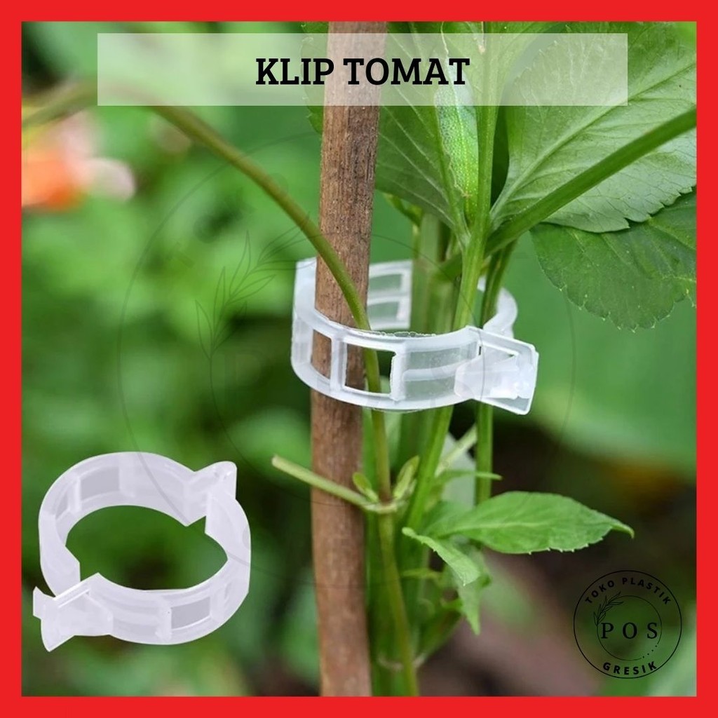 

[1-pcs] KLIP TOMAT Plant Clip Klip Plastik Pengikat Tanaman Tomat Jepitan Tanaman Bunga Batang Ikat Serbaguna