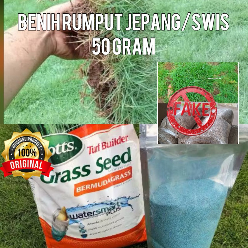 peromo benih rumput jepang 50gram original-bibit rumput jepang