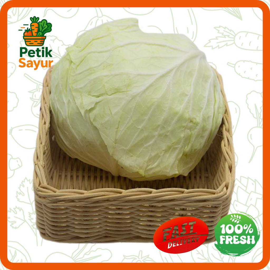 

Kol Putih Konvensional 1 kg PetikSayur