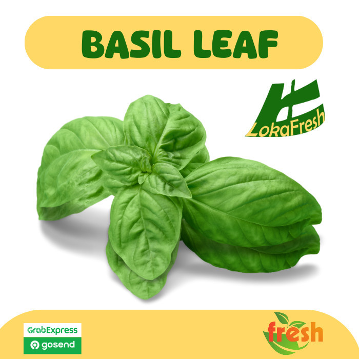 Basil Leaves Fresh/ Daun Basil Segar 100gram